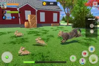 Cat Family Simulator: Life of Wild Cat Screen Shot 1