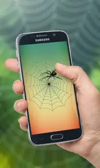 Spider Web Out Screen Shot 3