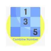 Combine Numbers