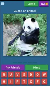 1 Pic 1 Word Animals Quiz Screen Shot 3