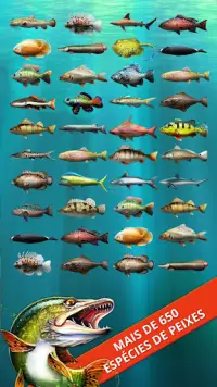 Let's Fish: Simulador de pesca Screen Shot 2