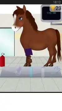 馬の妊娠術 Screen Shot 2