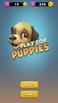 Play for puppies Screen Shot 0