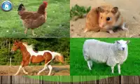 Учим животных и звуки для малышей Screen Shot 5