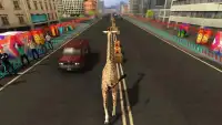 Animal Friends Rush : Fun Run Racing Game Screen Shot 2