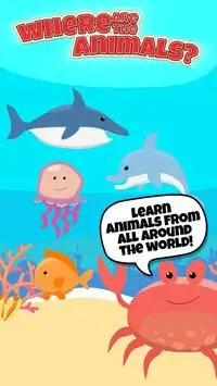 Where are the animals? - Educational Game for Kids Screen Shot 3