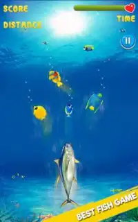 Angry Fish Attack Frenzy Fishing Kids Games Screen Shot 0