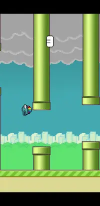 Cross Bird Screen Shot 2