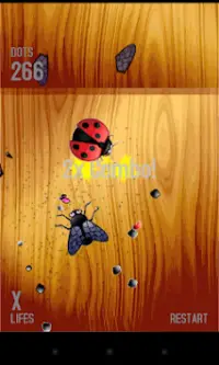SMASH the FLY but not LADYBUGS Screen Shot 1