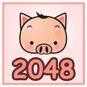 PIG 2048