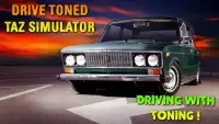 Drive Toned Taz Simulator Screen Shot 2