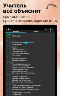 Грамматика: части речи - русский язык Screen Shot 4