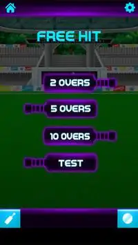 Knock Knock Cricket 2019 Screen Shot 3