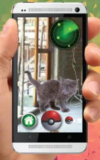 Pocket Kitten Cats GO Screen Shot 2