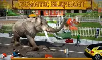 Angry Elephant Attack 3D Screen Shot 10