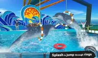 Dolphin Water Stunts Show Screen Shot 4