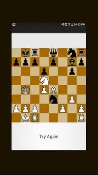 Grandmaster Chess Puzzles Screen Shot 1