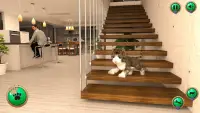 My Running Cat Family Pet Sim Screen Shot 3