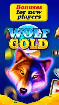 Wolf Gold Over Screen Shot 0