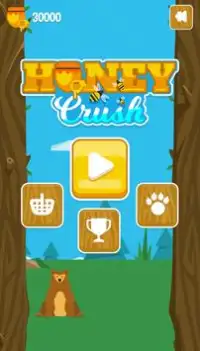 Honey Crush: Bear Adventure Screen Shot 0
