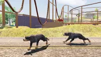 Rottweiler Dog Simulator Screen Shot 20