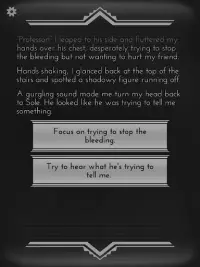 Choices That Matter - text based game Screen Shot 14