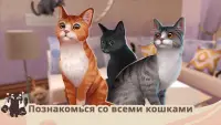 Cat Rescue Story: кошачья игра Screen Shot 0