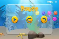 Dolphin Play Screen Shot 2