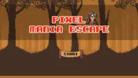 Pixel Mania Escape Screen Shot 0