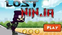Lost Ninja Screen Shot 0