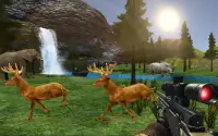 Stag Deer Hunting 3D. Screen Shot 0
