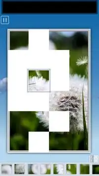 Animated Puzzles Screen Shot 11