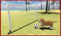 Cat Dog Pets Beach Stunts Sim Screen Shot 1