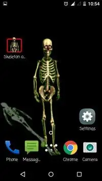 Skeleton On Screen Screen Shot 1
