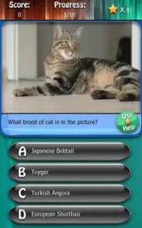 Kitty Cat Breeds Quiz HD Screen Shot 0