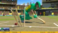 Real World Cricket 18: Cricket Games Screen Shot 2