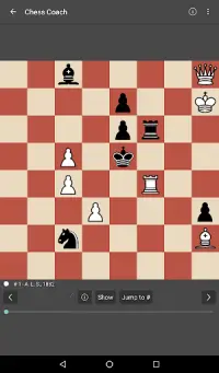 Chess Coach Pro Screen Shot 5