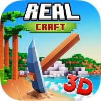 Real Craft 3D