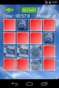 Cute Cat Memory Screen Shot 6