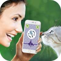 Cat Language Translator Simulator - Talk to Pet