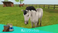 HorseWorld - マイ ライディング ホース：馬と遊べるゲーム Screen Shot 5
