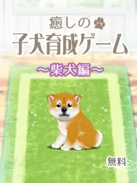 癒しの子犬育成ゲーム〜柴犬編〜 Screen Shot 0