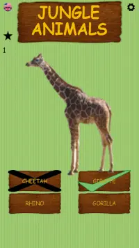 Wild Animals - Learning Name of Animals Screen Shot 4