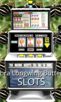 3D Zebra Longwing Butterfly Screen Shot 0