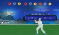 Crazy Cricket Screen Shot 0