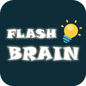 Flash Brain