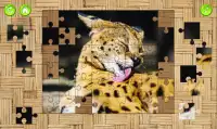 Cats Jigsaw Puzzles Game Screen Shot 3