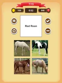 Horse Coat Colors Quiz Screen Shot 17