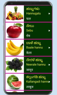Learn Kannada From Hindi Screen Shot 6
