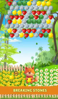 Bubble Fruit Shooter Screen Shot 12